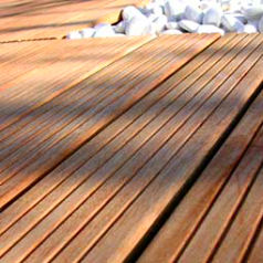 Caillebotis IPE 100 100